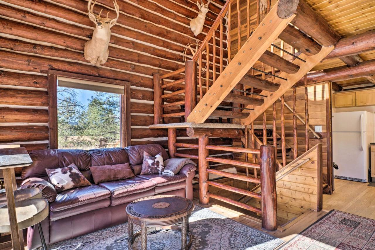 Classic Colorado Log Home With Mountain Views! Florissant المظهر الخارجي الصورة